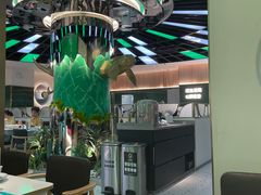 -青花椒花椒鱼(合生汇店)