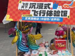 -飞览天下沉浸式飞行体验(北京旗舰店)