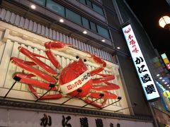 -蟹道乐(道顿堀本店)