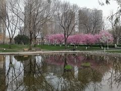 -泰丰公园