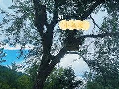 -北京西山国家森林公园