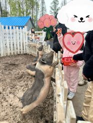 -前小桔亲子创意农场·草莓采摘·露营烧烤