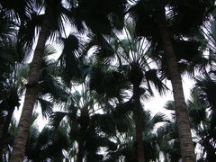 -红花山公园