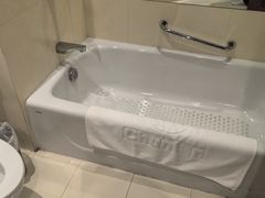 -春兰国宾馆(凤城河风景区老街店)