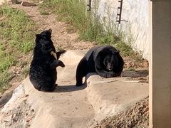 -大连森林动物园