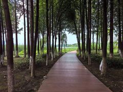 -暨阳湖生态园