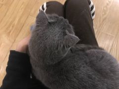 -萌喵咖啡屋(人民东路4号口M16商铺店)