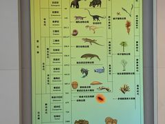-中国地质大学逸夫博物馆