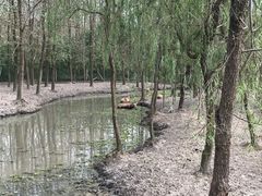 -溱湖国家湿地公园