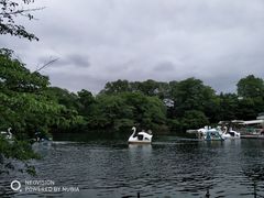 -井之头恩赐公园