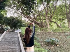 -凤凰山公园-龙王古庙