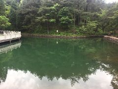 -四明山国家森林公园
