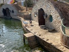 -南宫五洲植物乐园