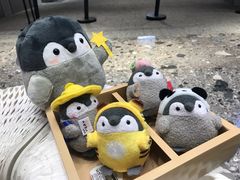 -风云再起游乐汇(北京西单西西友谊店)
