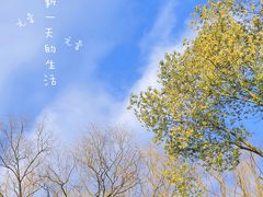 -昆山城市生态森林公园