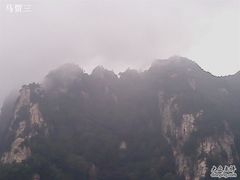 -王顺山国家森林公园