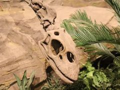 -自贡恐龙博物馆