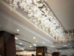 -珠海棕泉酒店(拱北口岸高铁站店)