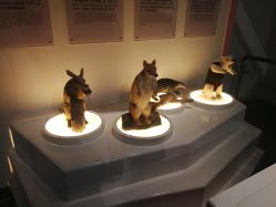 -北京科学中心儿童乐园