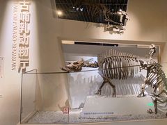 -国家自然博物馆