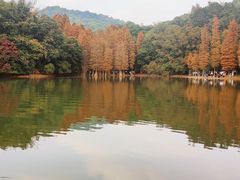 -广州市白云山风景名胜区