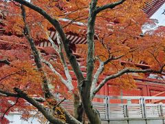 -成田山新胜寺