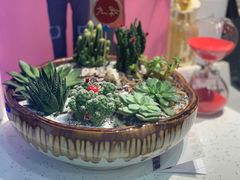 -九秋茶铺(三里屯店)