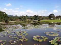-中国科学院西双版纳热带植物园