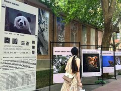 -西安电影制片厂