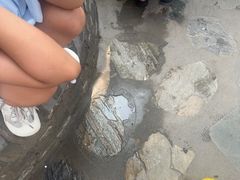 -中国翰园碑林