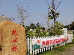 -长洲岛都市农业公园
