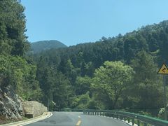 -武陵山森林公园