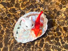 -水磨沟公园