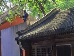 -嵩祝寺及智珠寺