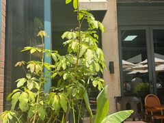 -熙楼(翠湖店)