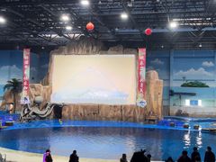 -华夏文旅海洋公园