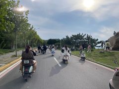 -养马岛旅游度假区