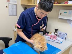 -美联众合爱康动物医院•复杂内科•肿瘤科•牙科•腔镜诊疗中心