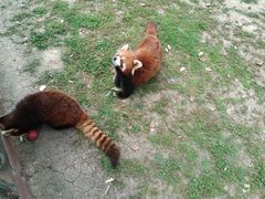 -常州淹城野生动物世界