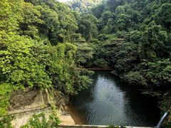 -鼎湖山风景区