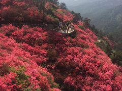-木兰云雾山