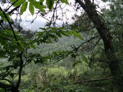 -罗田薄刀峰风景区