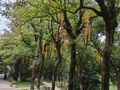 -慈城古县城景区