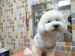 -宠颐生猫科·内科皮肤科(西平世纪城店)