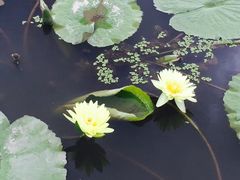 景点-上海长兴岛郊野公园