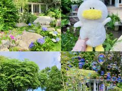 -深圳国际园林花卉博览园