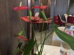 -瑞海姆酒店中餐厅