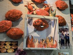 -龙海鲜螃蟹王(宏茂桥店)