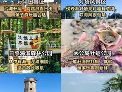 -日照海滨国家森林公园