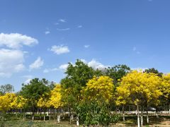 -绿堤公园